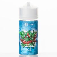 S TEAM ICE - Чай с брусникой 100мл.